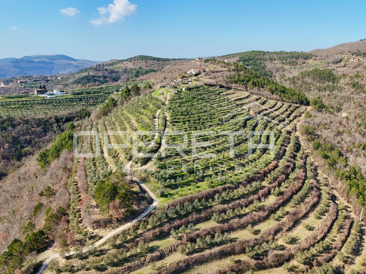 Grande proprietà di 170.000 m2 con una vista splendida