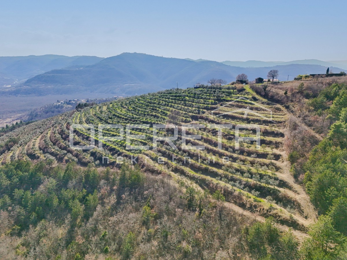 Grande proprietà di 170.000 m2 con una vista splendida