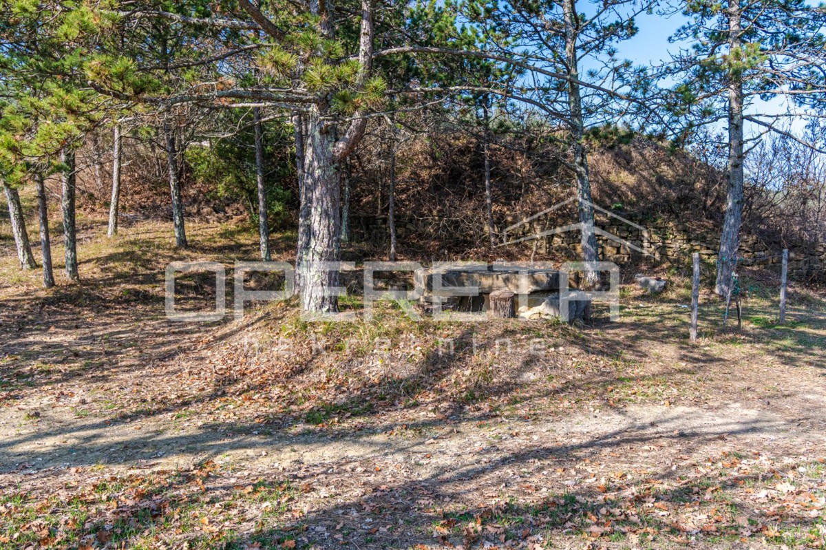 Grande proprietà di 170.000 m2 con una vista splendida