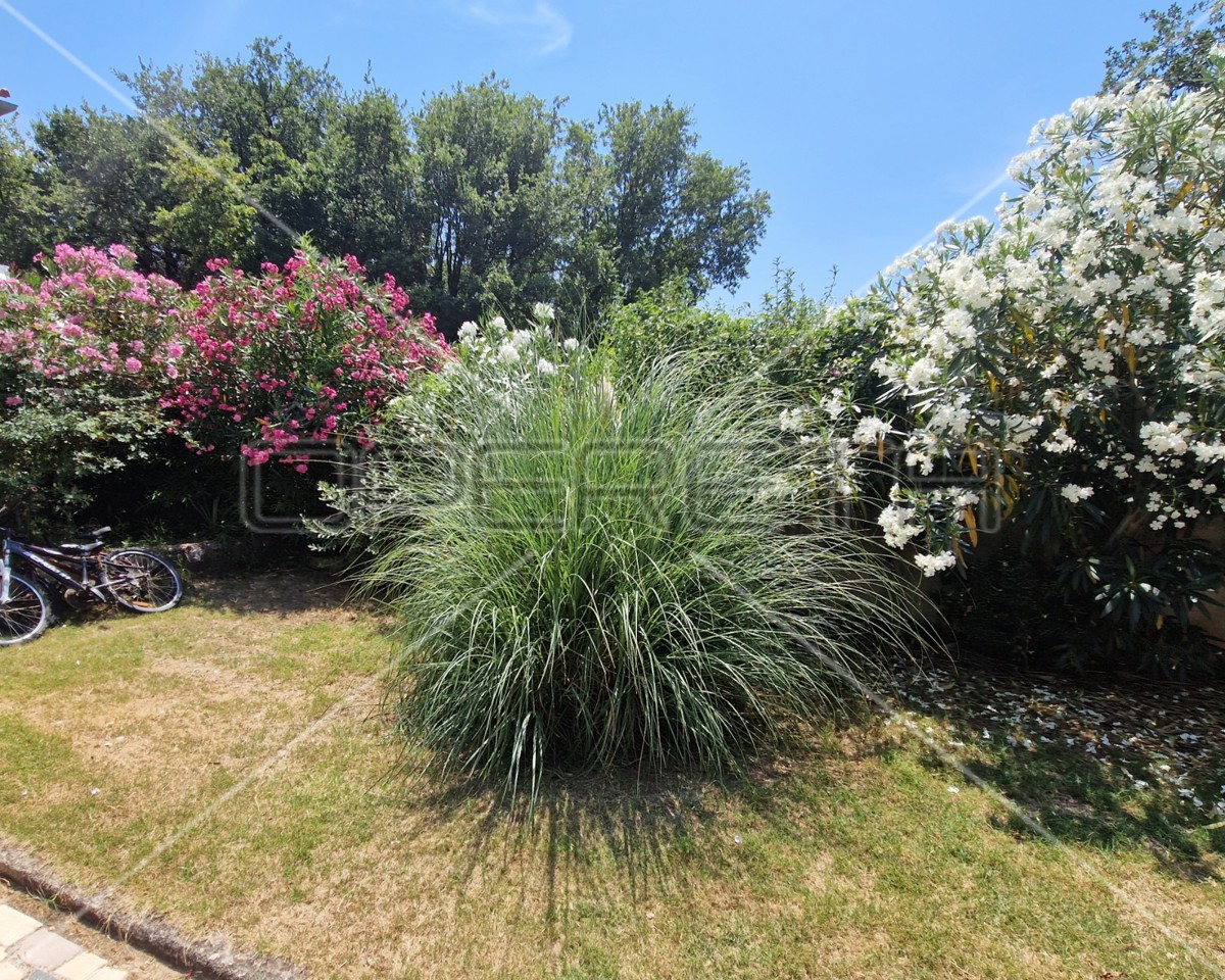 Istria, Ližnjan, appartamento al piano terra, 3 camere, giardino e piscina comuni