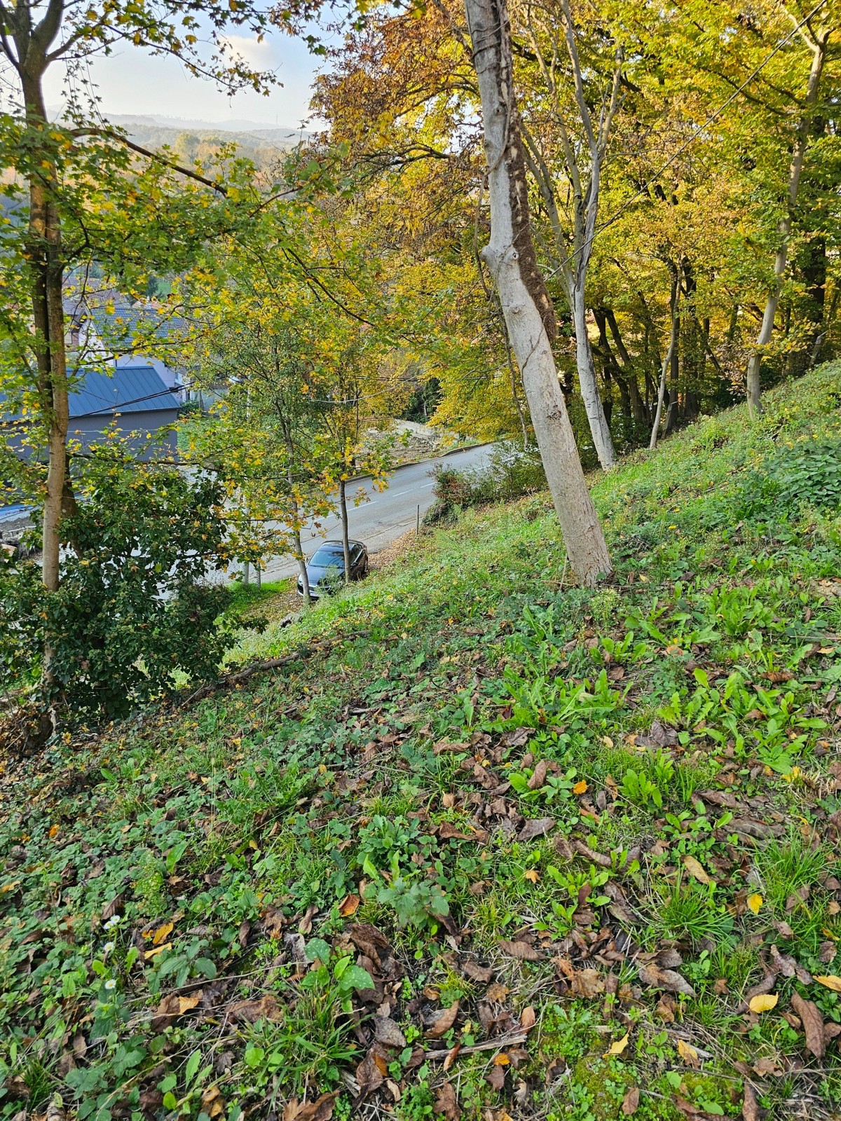 Štefanovec, Markuševec, 3.861,00 m2, 295.000,00 EUR