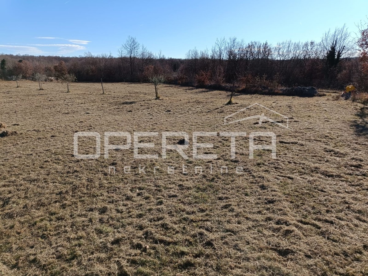 Žminj, Žminj, 3.909,00 m2, 175.900,00 EUR