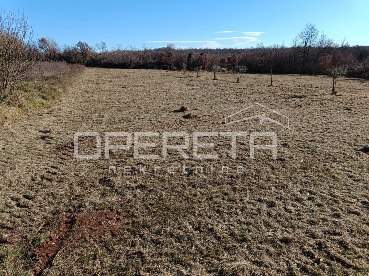 Žminj, Žminj, 3.909,00 m2, 175.900,00 EUR