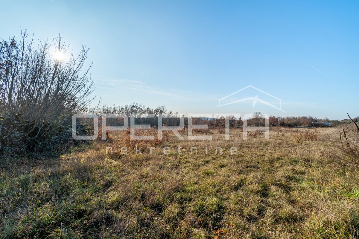 Žminj, Žminj, 3.909,00 m2, 175.900,00 EUR