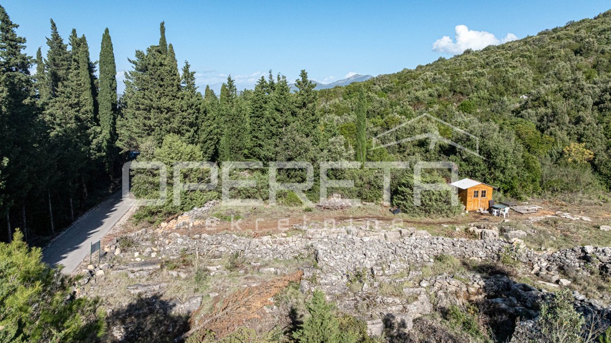 Terreno agricolo attraente di 9400 m2, non lontano dal mare, Pupnat