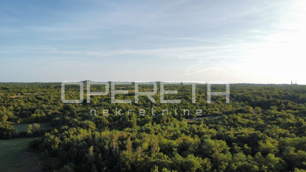 Vodnjan, Vodnjan, 916,00 m2, 175.000,00 EUR