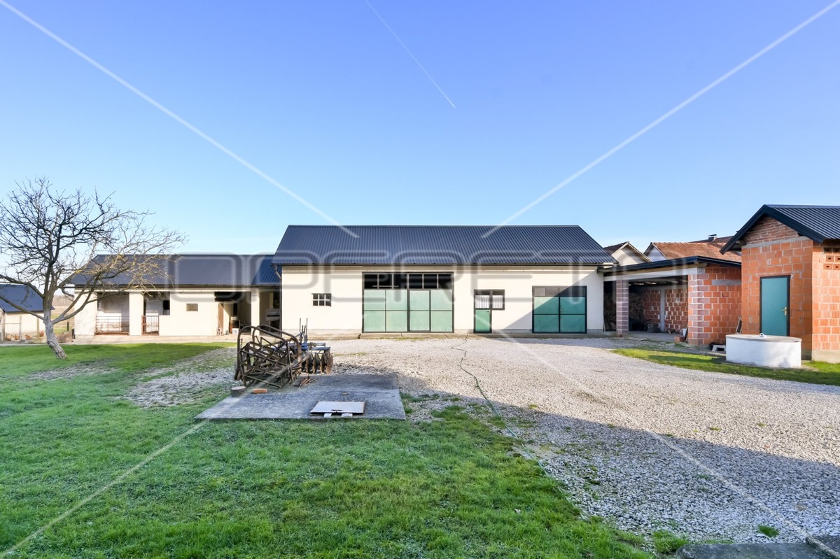 Vendita, Casa, Dragonožec, Trpučanska, Indipendente, 300m2