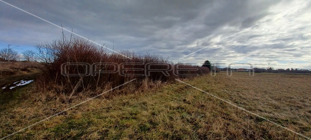 Kate Mlinarić, Blato, 5.343,00 m2, 897.624,00 EUR