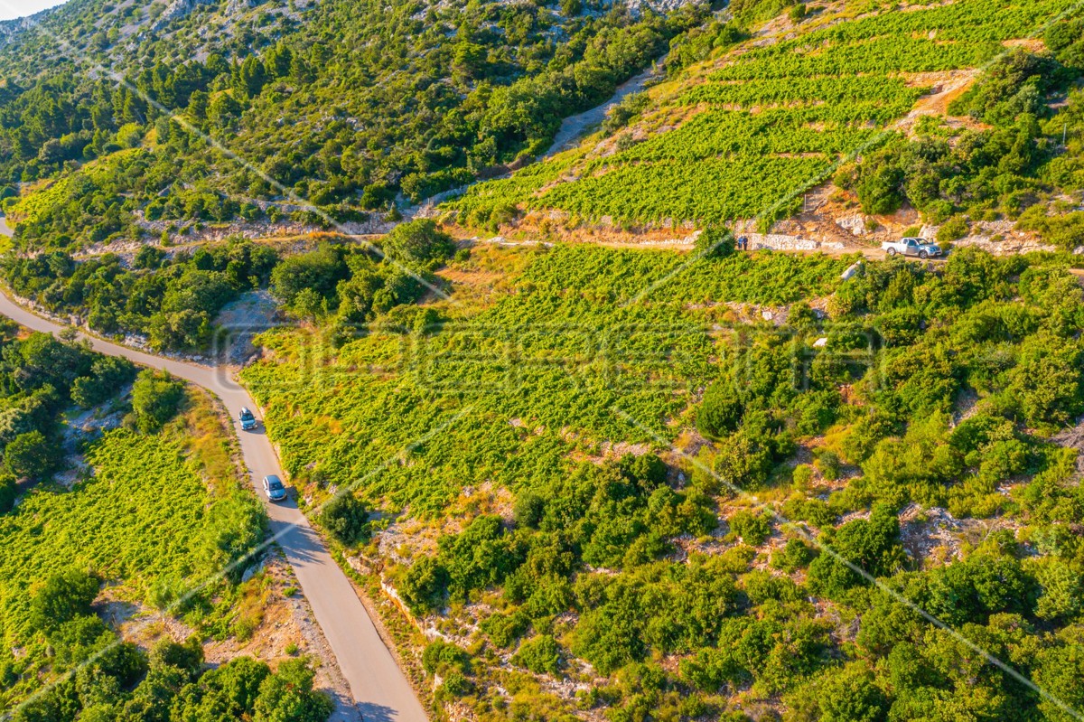 Terreno, 12.257 m², Dingač, Pelješac, 40 EUR/m²