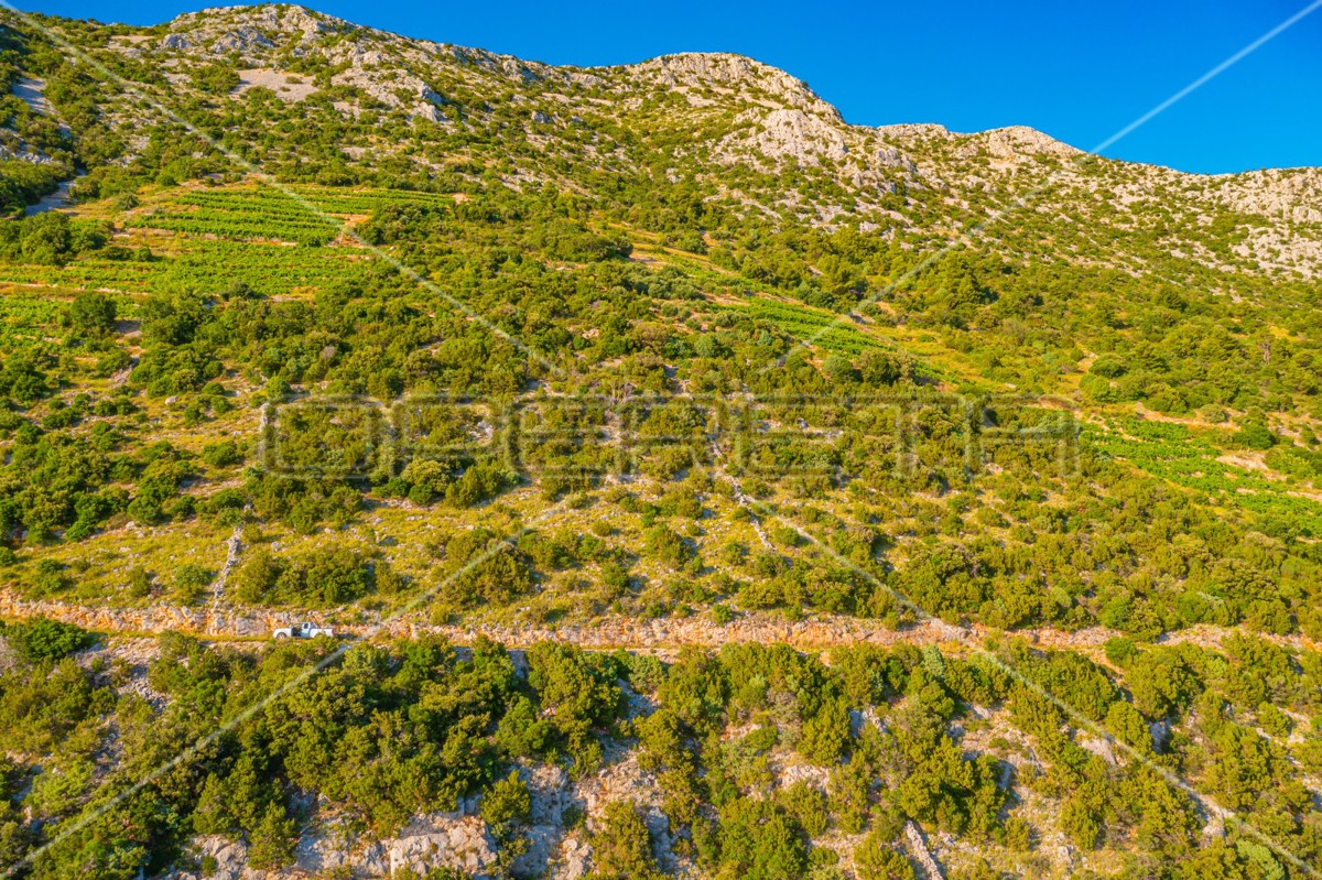 Terreno, 12.257 m², Dingač, Pelješac, 40 EUR/m²