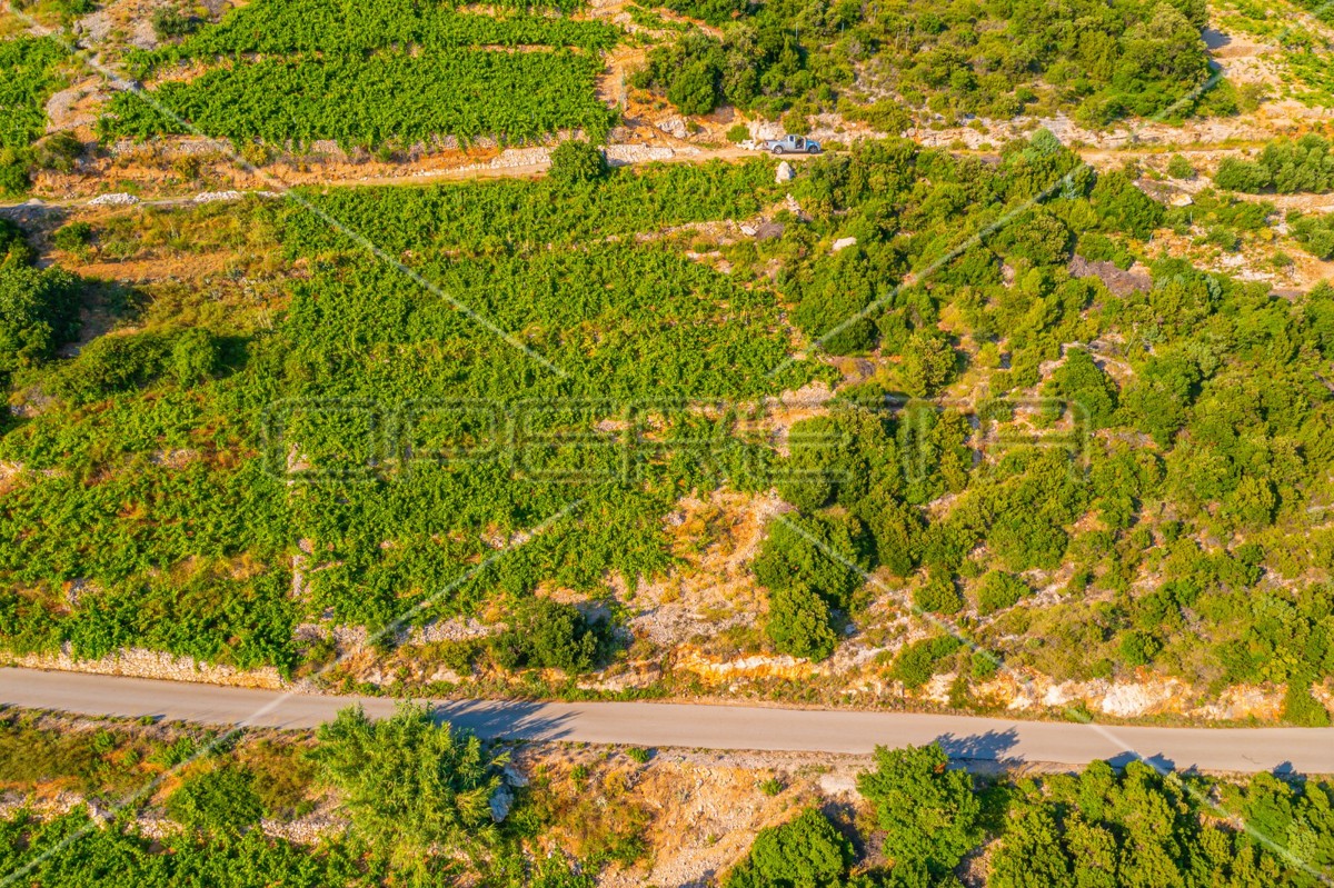 Terreno, 12.257 m², Dingač, Pelješac, 40 EUR/m²