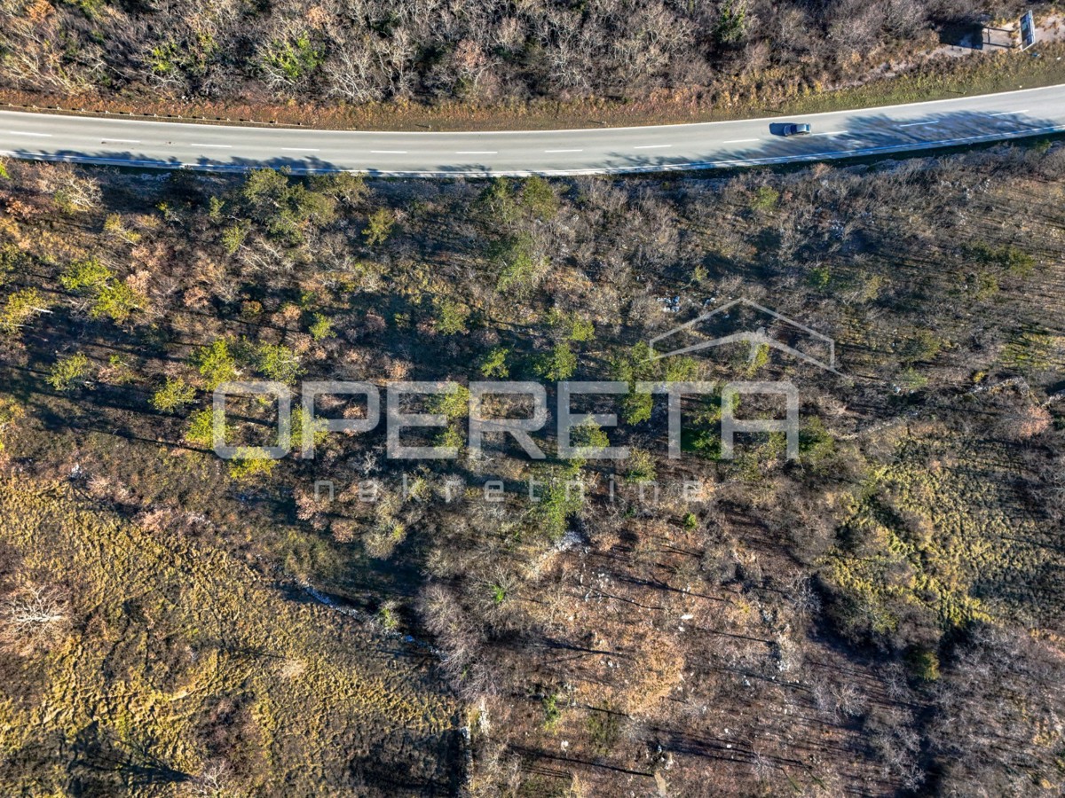 ISTRIA, TINJAN - Terreno edificabile a uso residenziale