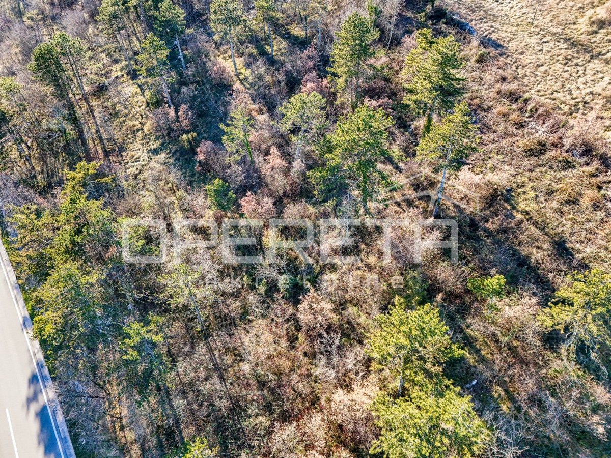 ISTRIA, TINJAN - Terreno edificabile a uso residenziale