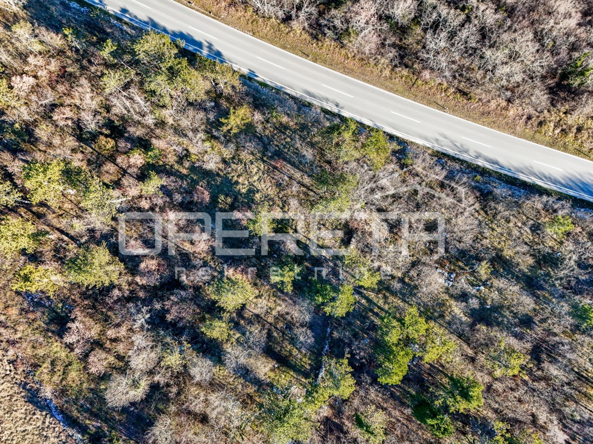 ISTRIA, TINJAN - Terreno edificabile a uso residenziale