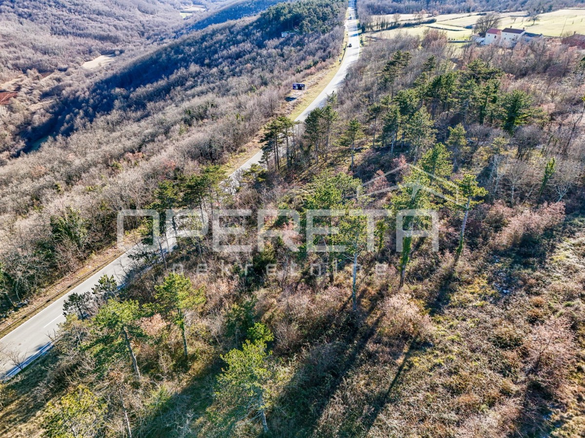 ISTRIA, TINJAN - Terreno edificabile a uso residenziale