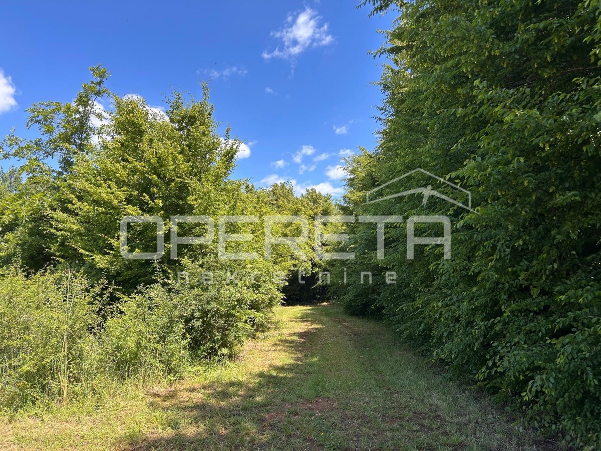 Juršići, Juršići, 2.449,00 m2, 83.000,00 EUR