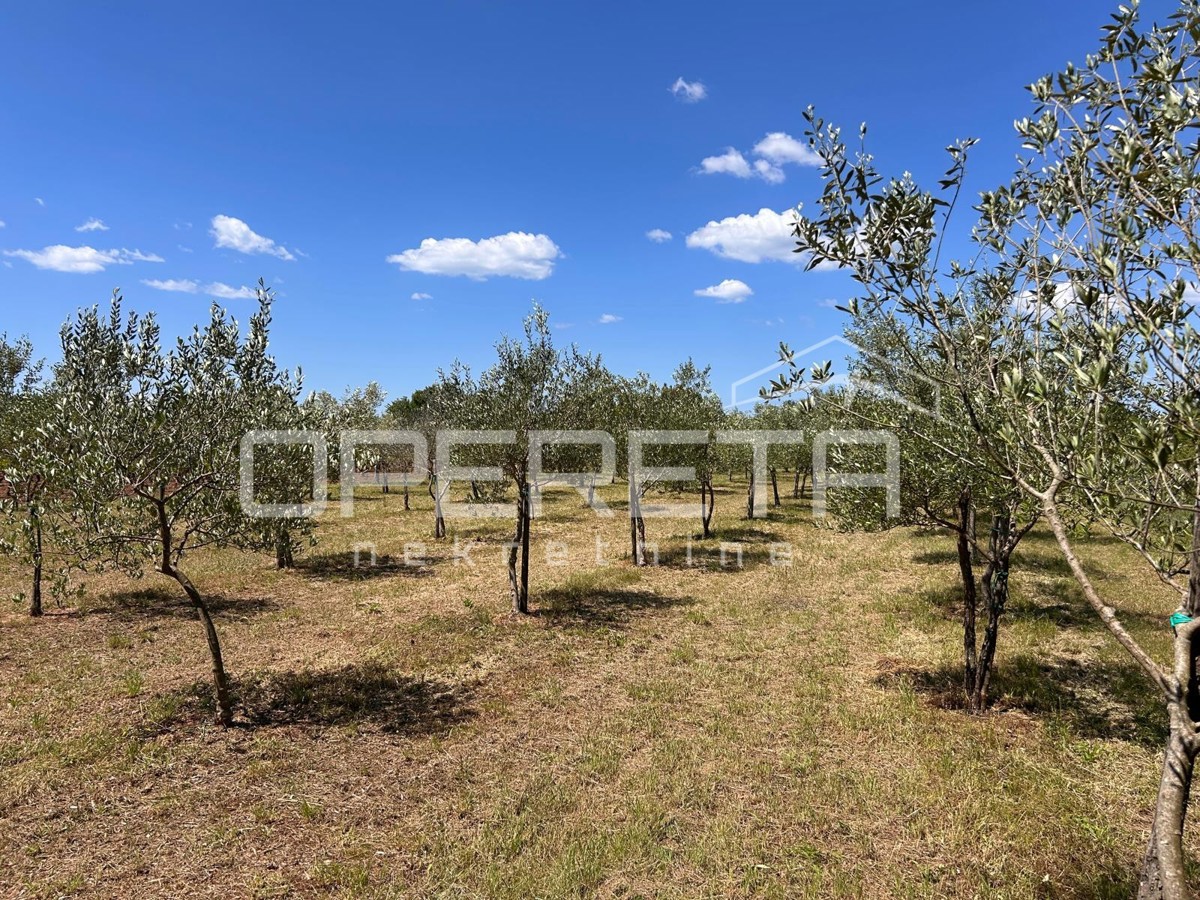 Juršići, Juršići, 2.449,00 m2, 83.000,00 EUR