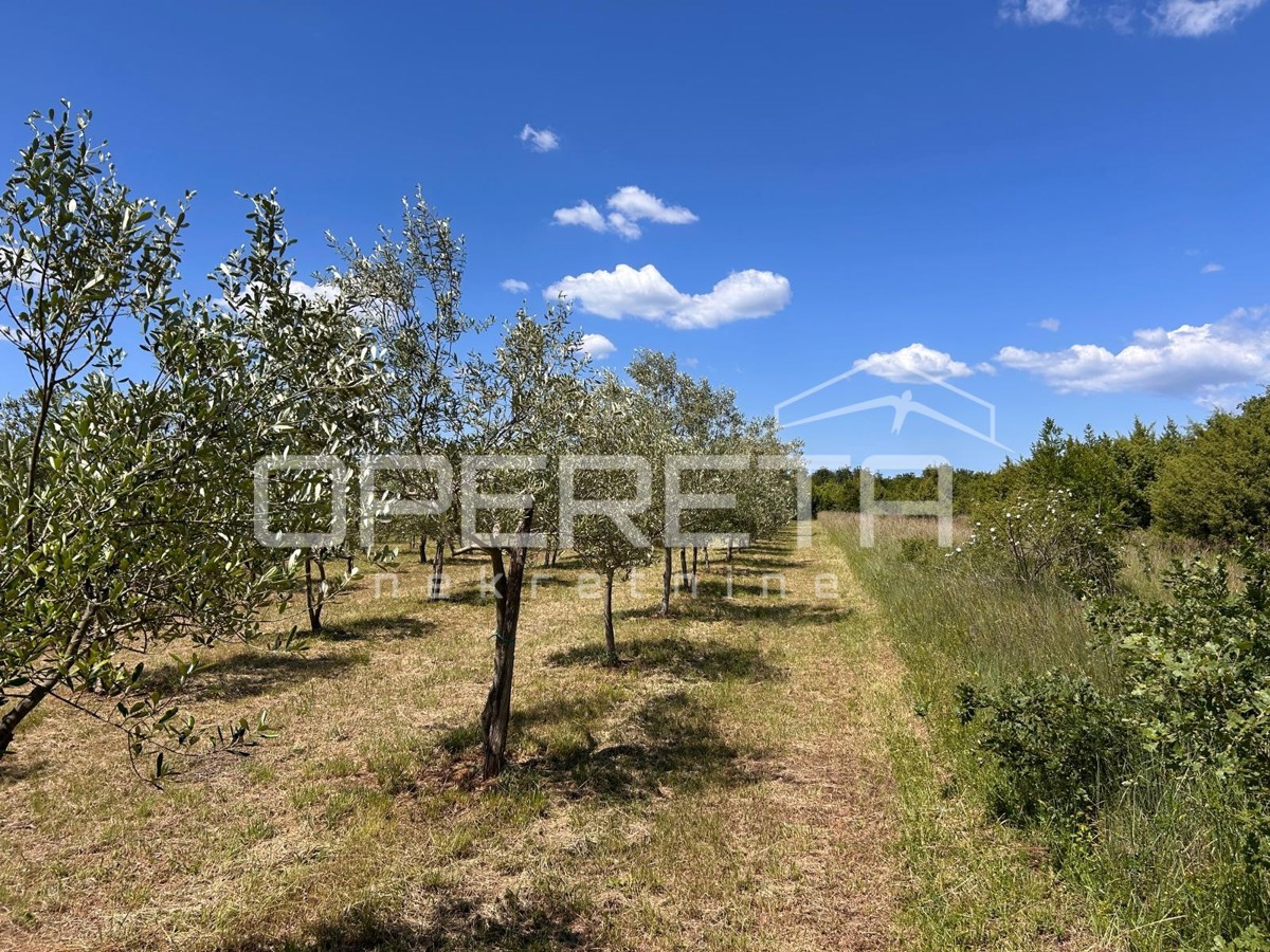 Juršići, Juršići, 2.449,00 m2, 83.000,00 EUR