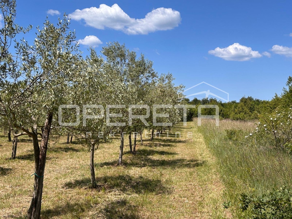 Juršići, Juršići, 2.449,00 m2, 83.000,00 EUR