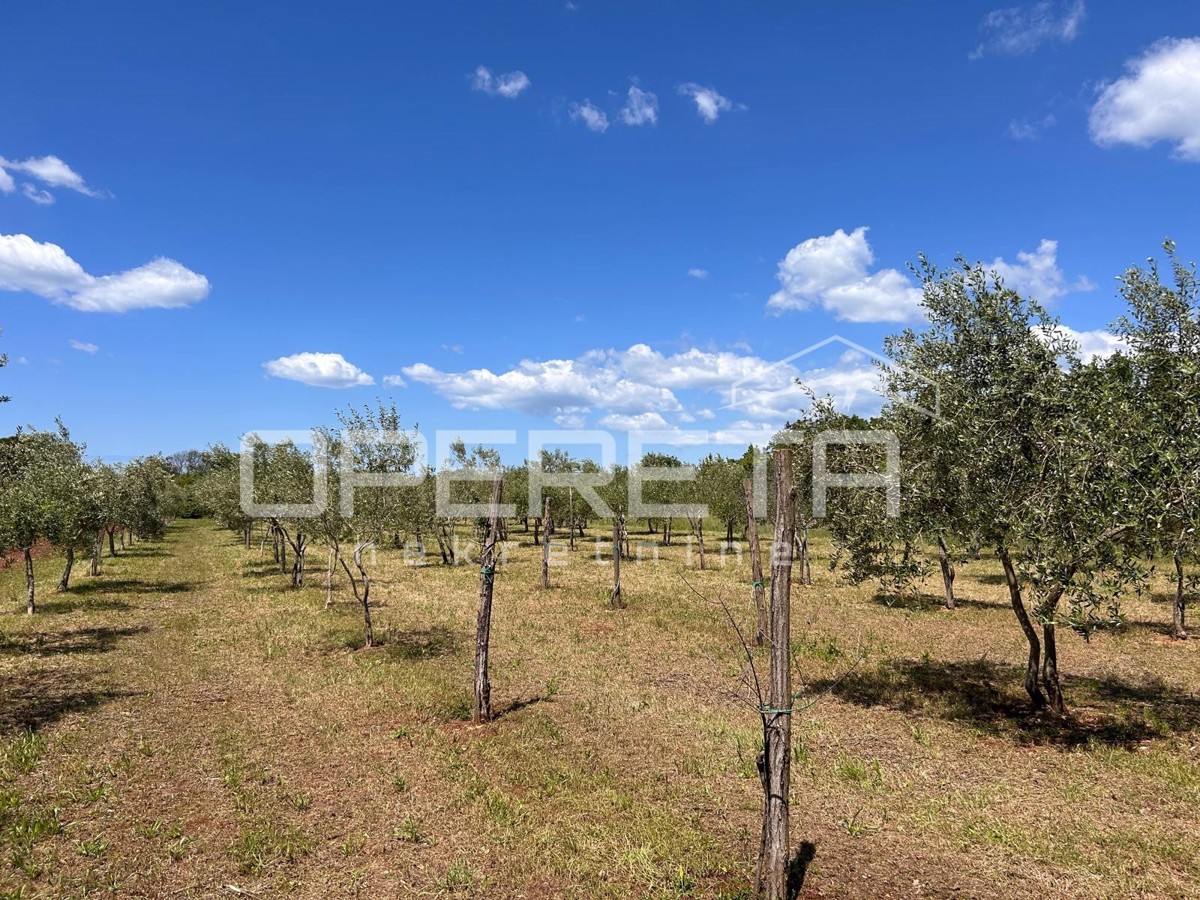 Juršići, Juršići, 2.449,00 m2, 83.000,00 EUR