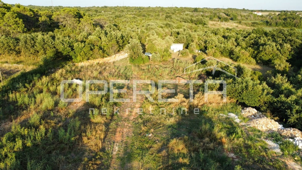 Vodnjan, Vodnjan, 8.000,00 m2, 350.000,00 EUR