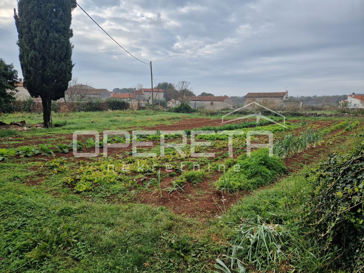 Istria, Manjadvorci, Proprietà con tre case in rovina, terreno e progetto preliminare