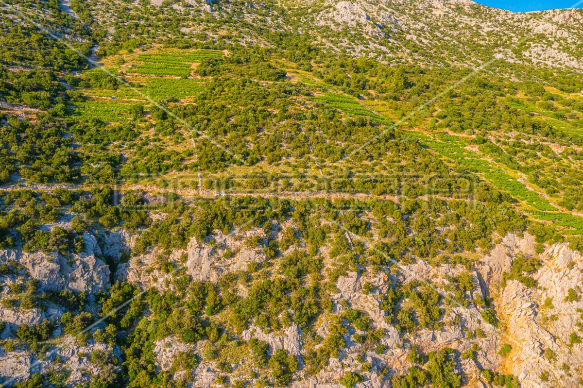 Terreno con potenziale agricolo a Potomje, 34.923 m², Pelješac