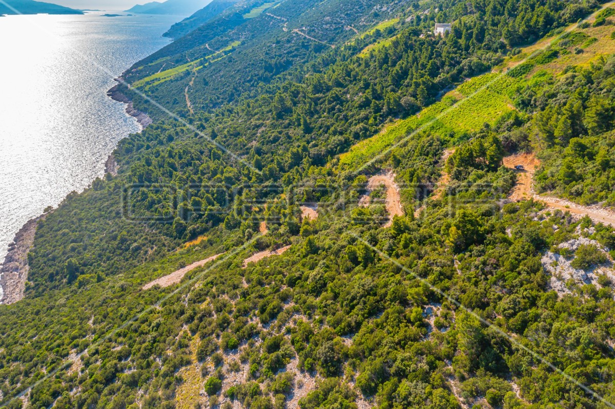 Terreno con potenziale agricolo a Potomje, 34.923 m², Pelješac