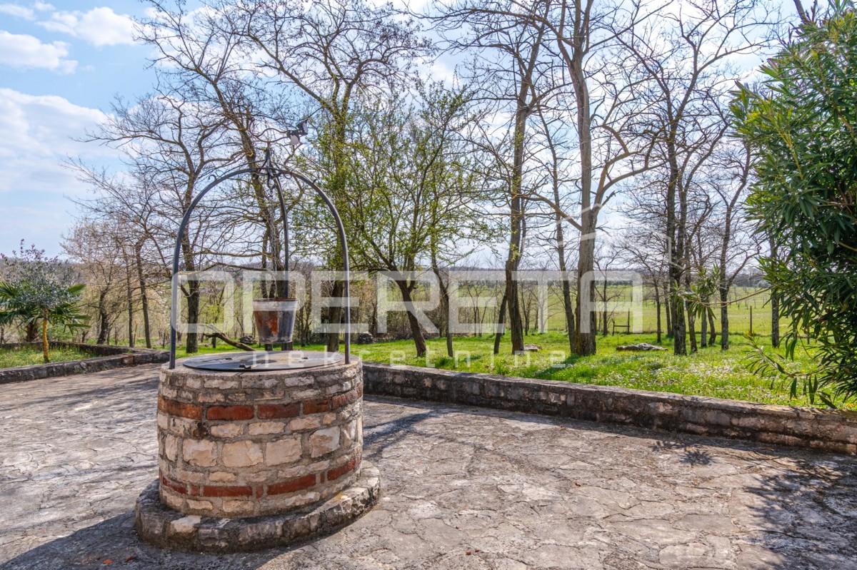 Buje, Kaštel - proprietà di 1909 m2 con destinazione commerciale e alloggio