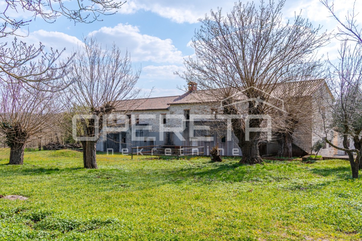 Buje, Kaštel - proprietà di 1909 m2 con destinazione commerciale e alloggio