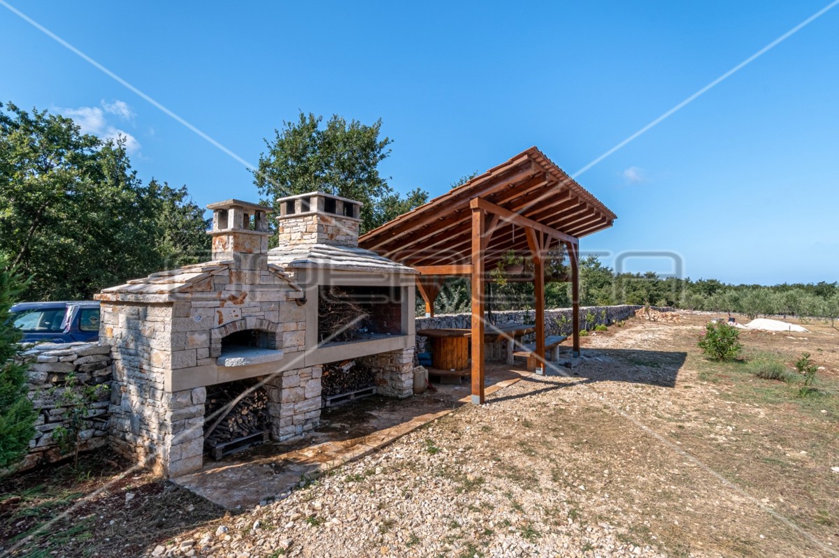 Meraviglioso uliveto vicino a Peroja con vista mare e acqua, potenziale per OPG e turismo!