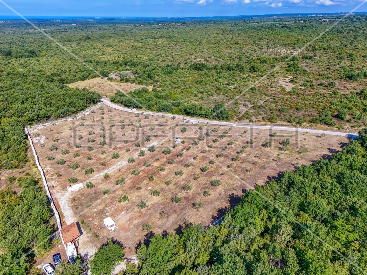 Meraviglioso uliveto vicino a Peroja con vista mare e acqua, potenziale per OPG e turismo!