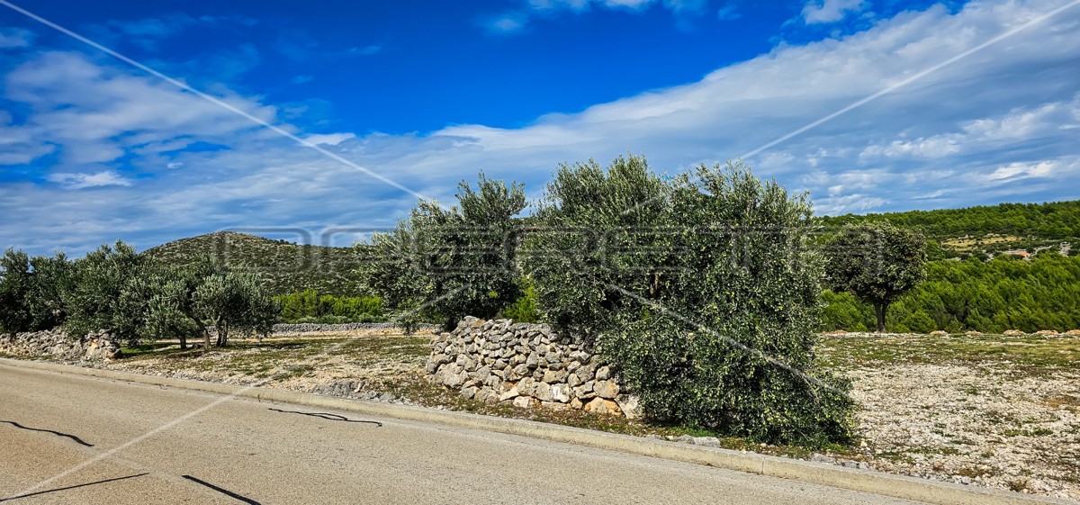 Opportunità unica, terreno agricolo con vista mare, 12.938 m²