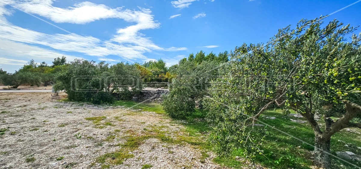 Opportunità unica, terreno agricolo con vista mare, 12.938 m²