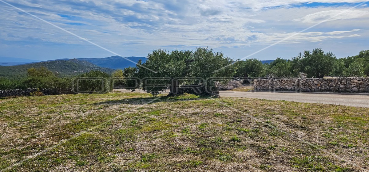 Opportunità unica, terreno agricolo con vista mare, 12.938 m²