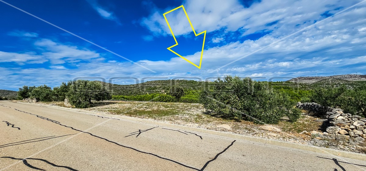 Opportunità unica, terreno agricolo con vista mare, 12.938 m²