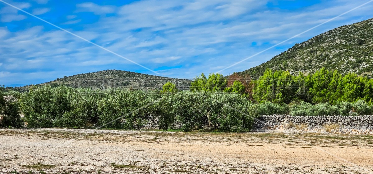 Opportunità unica, terreno agricolo con vista mare, 12.938 m²