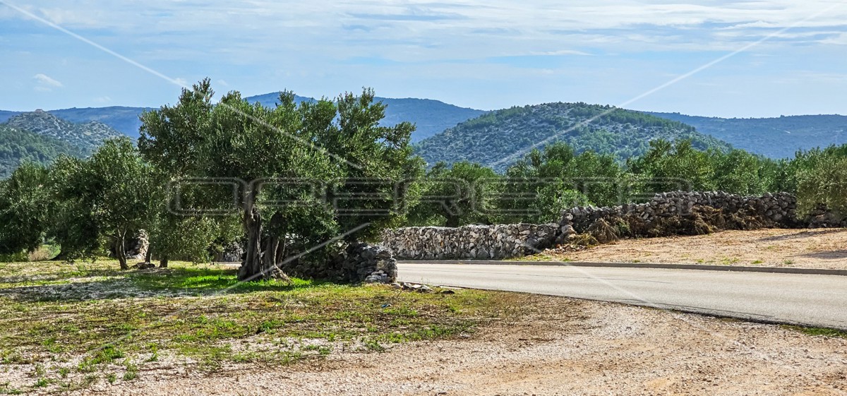 Opportunità unica, terreno agricolo con vista mare, 12.938 m²