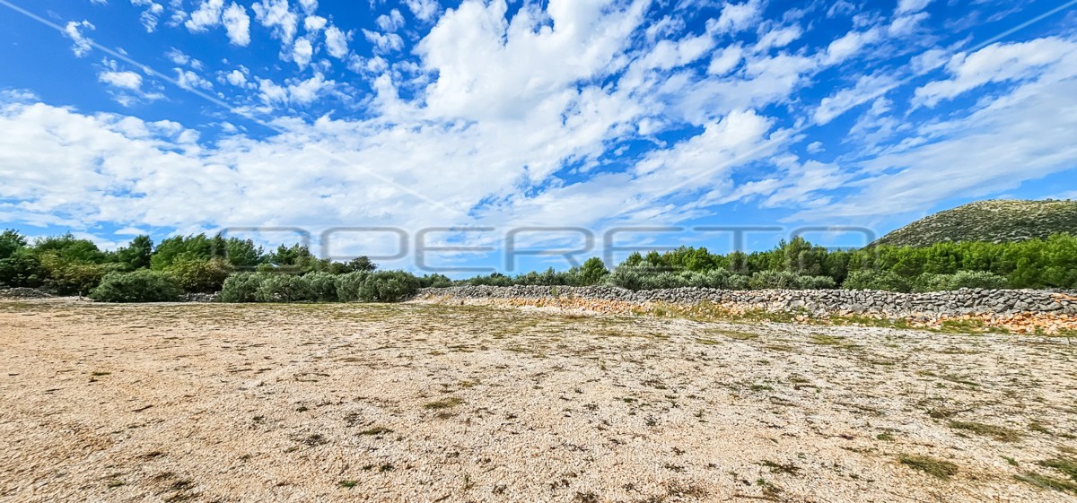 Opportunità unica, terreno agricolo con vista mare, 12.938 m²