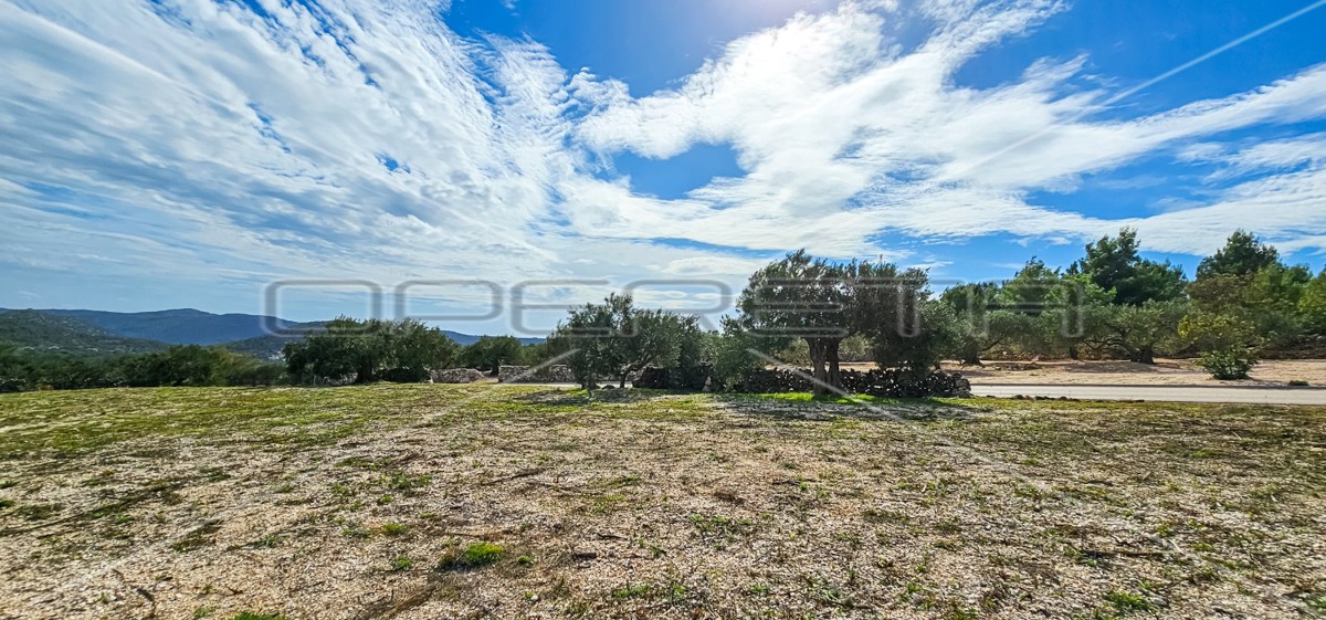 Opportunità unica, terreno agricolo con vista mare, 12.938 m²