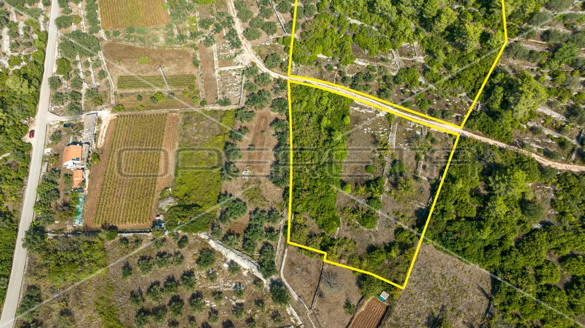 Terreno agricolo, Vela Luka, 8.846 m²