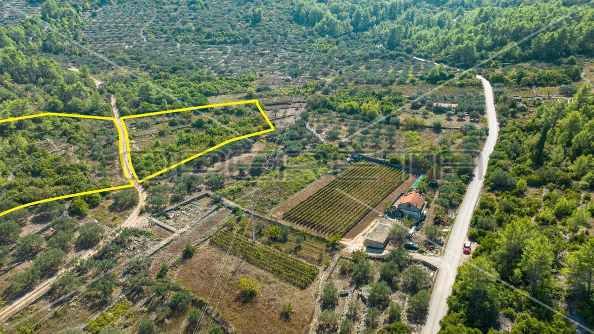 Terreno agricolo, Vela Luka, 8.846 m²