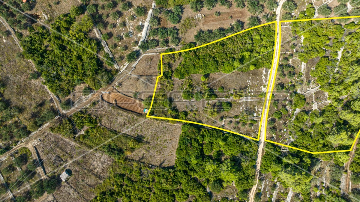 Terreno agricolo, Vela Luka, 8.846 m²