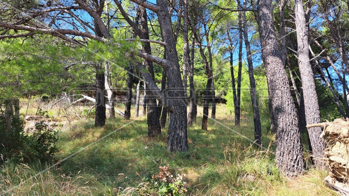 Mundanije, Rab, 791,00 m2, 59.000,01 EUR