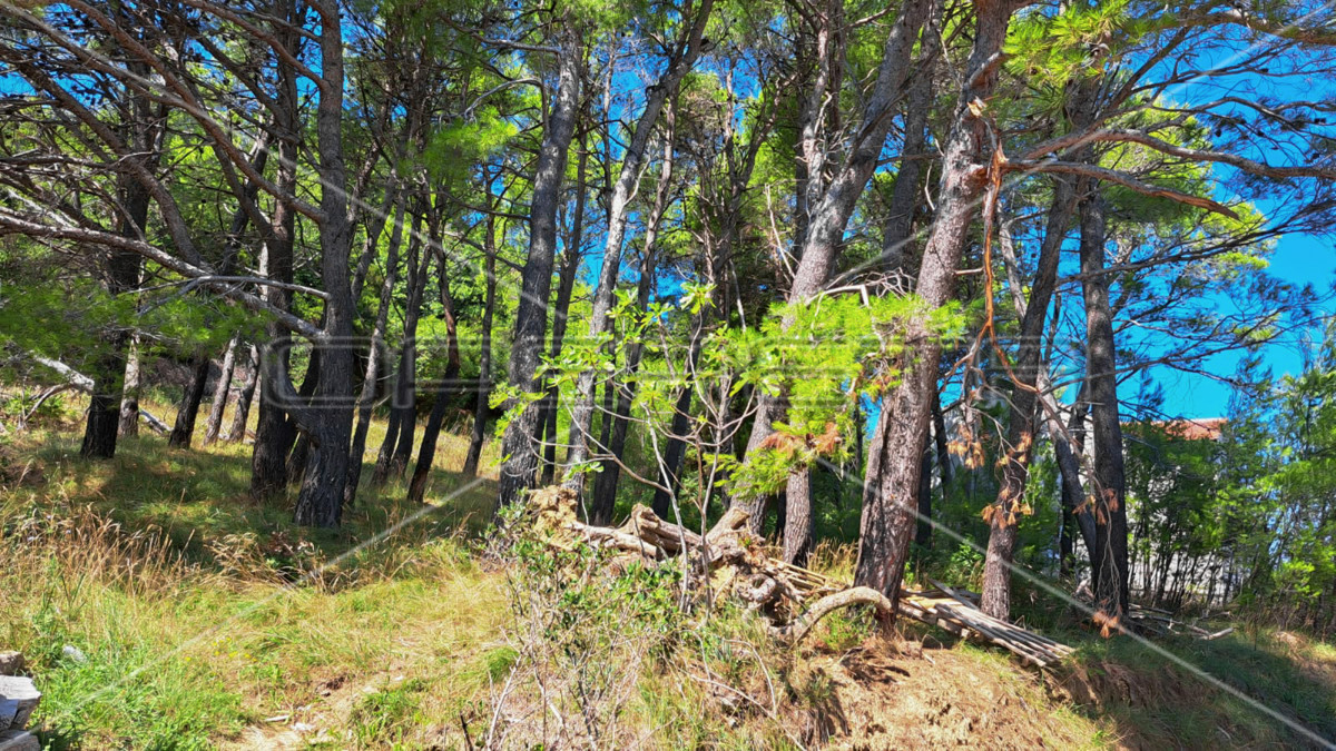 Mundanije, Rab, 791,00 m2, 59.000,01 EUR