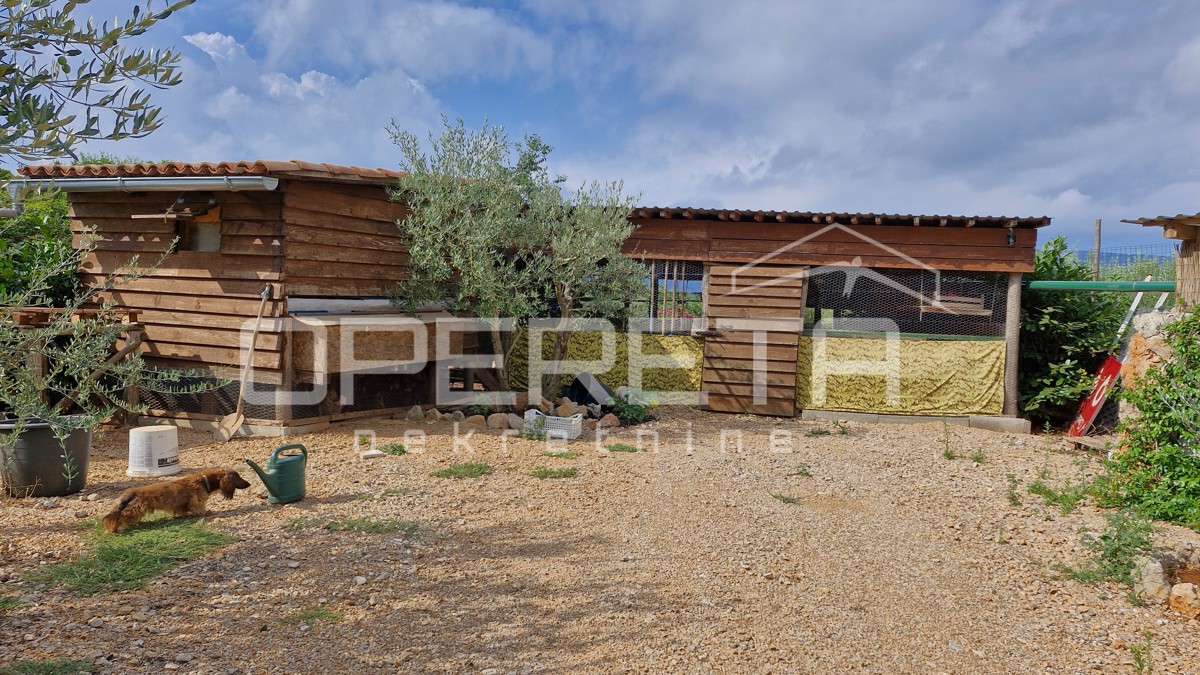 IN VENDITA: ULIVETO CON VISTA MARE – IDEALE PER INVESTIMENTO E TURISMO SOSTENIBILE