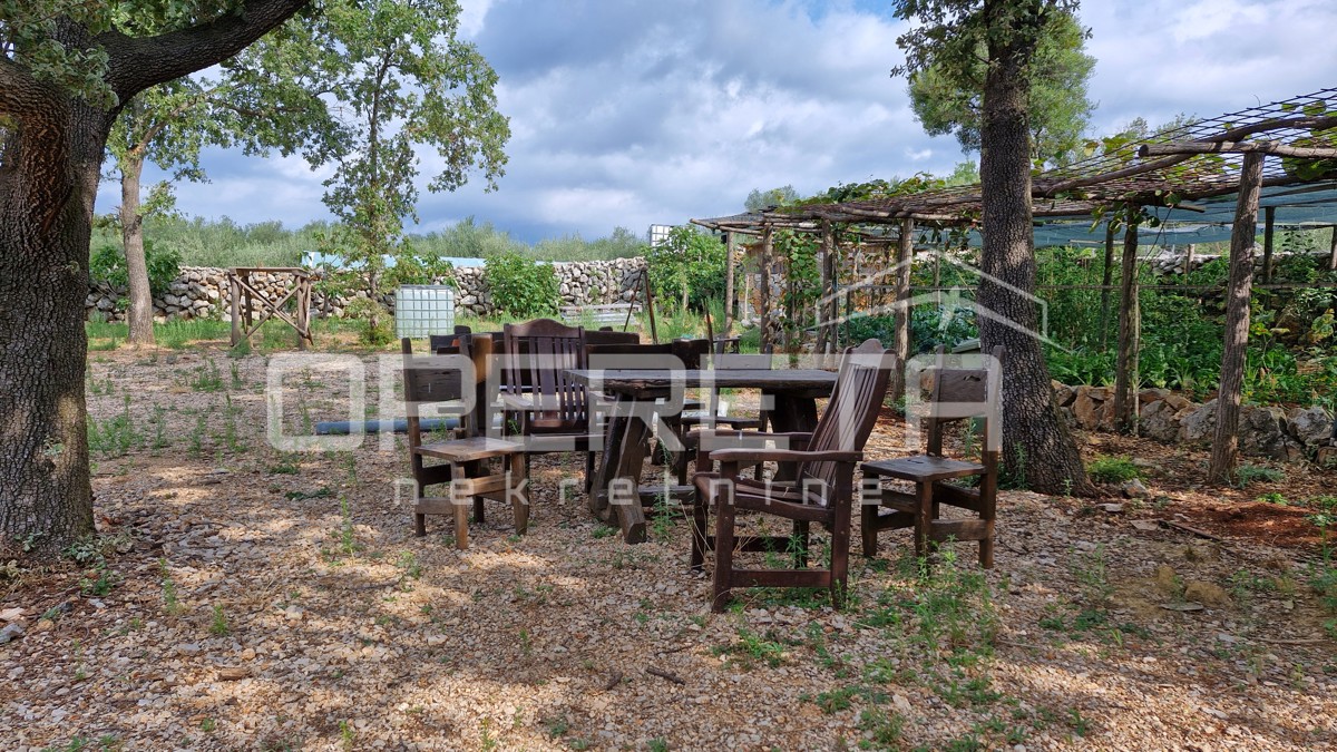 IN VENDITA: ULIVETO CON VISTA MARE – IDEALE PER INVESTIMENTO E TURISMO SOSTENIBILE