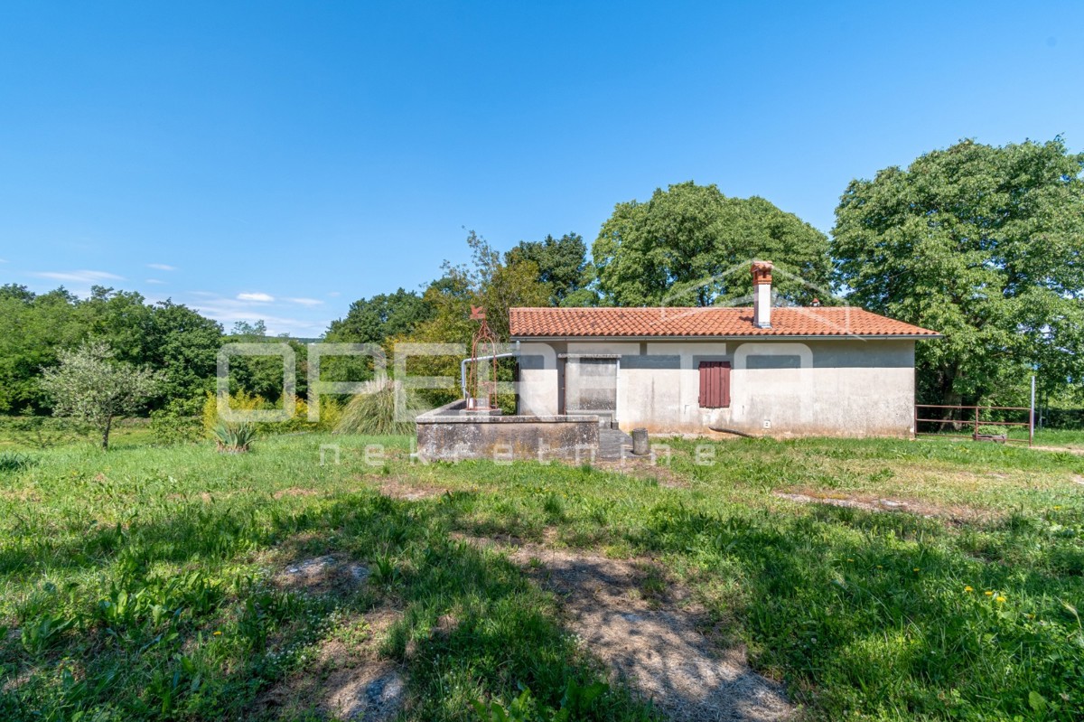 Idilliaca proprietà di 3 antiche, combinazione di terreno edificabile/agricolo 23900m2