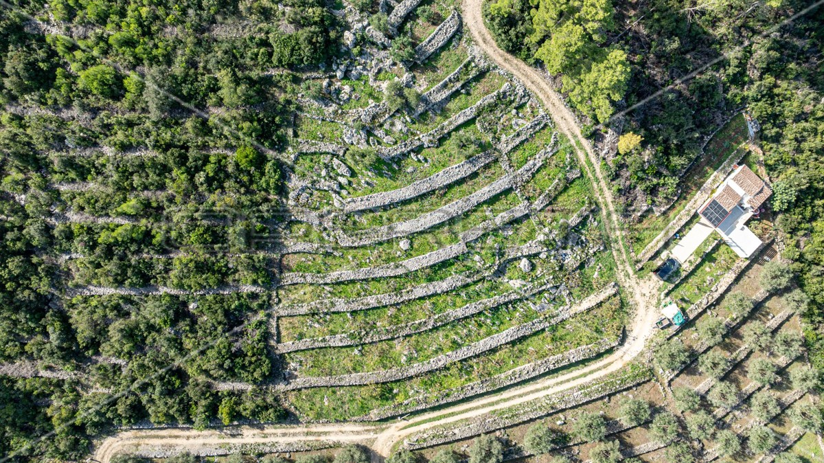 Terreno agricolo a Korčula – 14.406 m2 per sviluppo e investimento