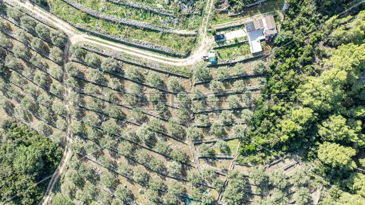 Terreno agricolo a Korčula – 14.406 m2 per sviluppo e investimento